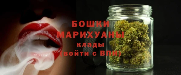 МДПВ Карпинск